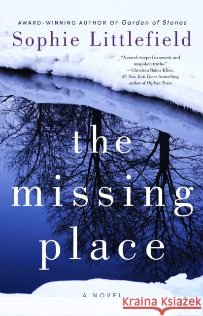 The Missing Place Sophie Littlefield 9781476757827