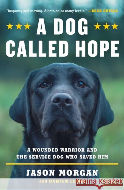 A Dog Called Hope: The Special Forces Wounded Warrior and the Dog Who Dared to Love Him Jason Morgan Damien Lewis 9781476797014