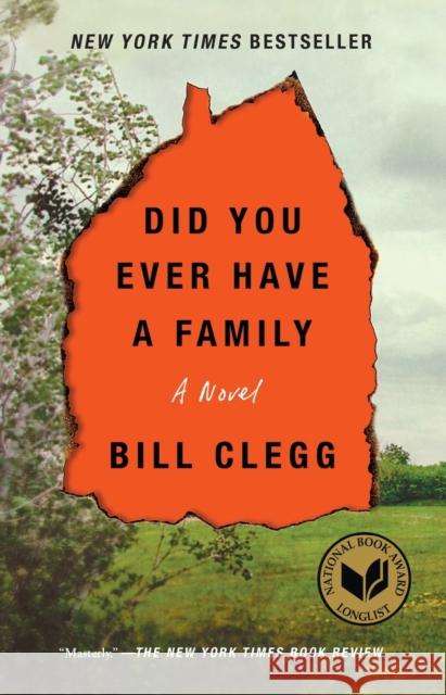 Did You Ever Have a Family Bill Clegg 9781476798189