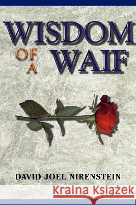 Wisdom of a Waif David Joel Nirenstein 9781477119129 Xlibris Corporation