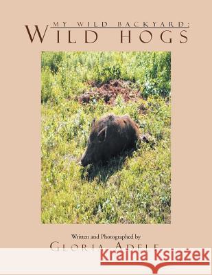 My Wild Backyard: Wild Hogs Adele, Gloria 9781477141298 Xlibris Corporation