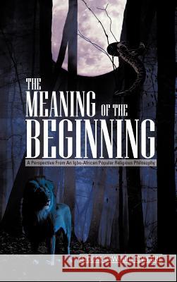 The Meaning of the Beginning: A Perspective from an Igbo-African Popular Religious Philosophy Isidore Okwudili Igwegbe 9781477254332 Authorhouse