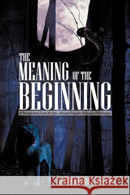 The Meaning of the Beginning: A Perspective from an Igbo-African Popular Religious Philosophy Isidore Okwudili Igwegbe 9781477254349 Authorhouse