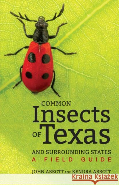 Common Insects of Texas and Surrounding States: A Field Guide John Abbott Kendra Abbott 9781477310359 University of Texas Press