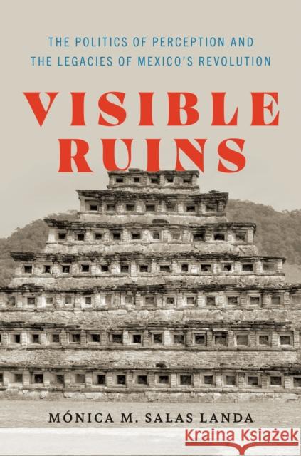 Visible Ruins: The Politics of Perception and the Legacies of Mexico's Revolution M?nica M. Sala 9781477328712 University of Texas Press