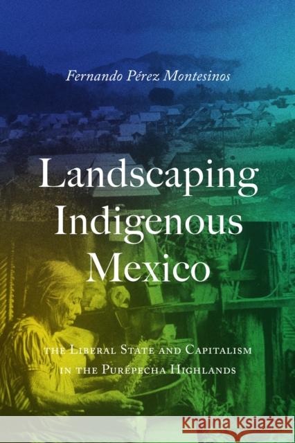 Landscaping Indigenous Mexico: The Liberal State and Capitalism in the Pur?pecha Highlands Fernando P?rez-Montesinos 9781477330999 University of Texas Press