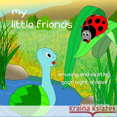 my little friends: amusing and exciting good night stories James, Ingrid 9781477485569