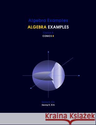 Algebra Examples Conics B Seong R. Kim 9781477486122 Createspace