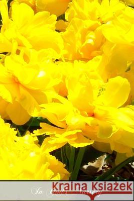 In God's Nursery C. C. Martindal 9781477546765 Createspace