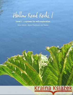 Hollow Reed Reiki I: a primer for self-exploration Goforth, Dana 9781477642672