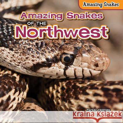 Amazing Snakes of the Northwest Parker Holmes 9781477765074 PowerKids Press