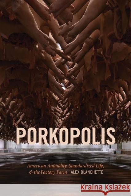 Porkopolis: American Animality, Standardized Life, and the Factory Farm Alex Blanchette 9781478008408 Duke University Press