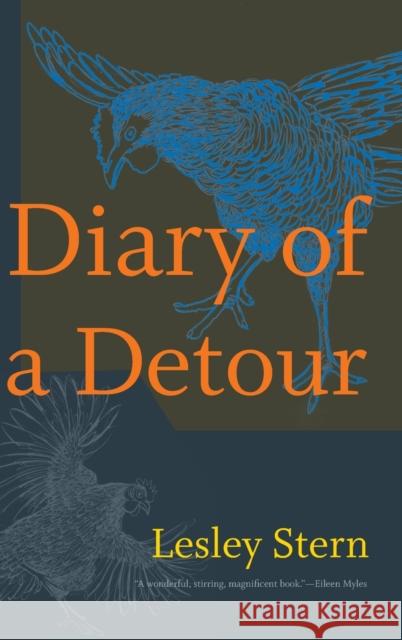 Diary of a Detour Lesley Stern 9781478008811 Duke University Press