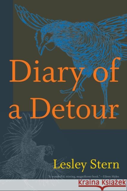 Diary of a Detour Lesley Stern 9781478009672 Duke University Press