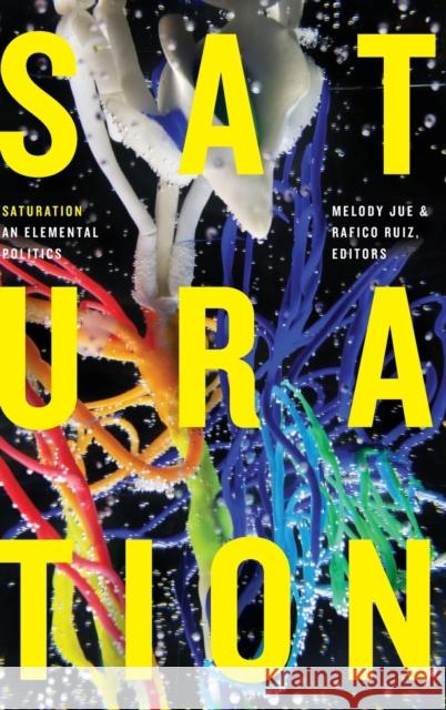 Saturation: An Elemental Politics Melody Jue Rafico Ruiz 9781478009740 Duke University Press