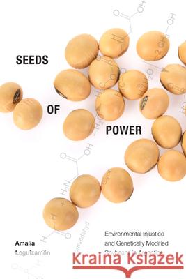 Seeds of Power: Environmental Injustice and Genetically Modified Soybeans in Argentina Amalia Leguizamon 9781478010852 Duke University Press