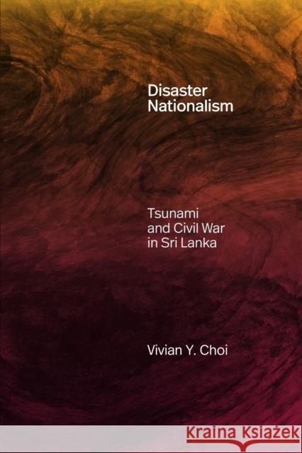Disaster Nationalism: Tsunami and Civil War in Sri Lanka Vivian Y. Choi 9781478031635 Duke University Press
