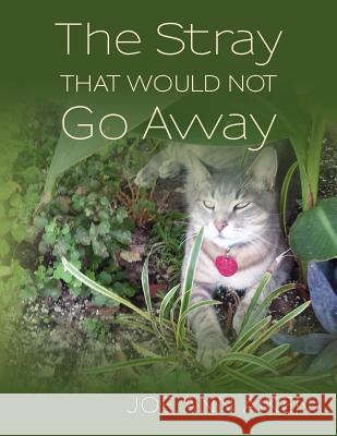 The Stray that Would Not Go Away Aiken, Joe Ann 9781478127253 Createspace Independent Publishing Platform