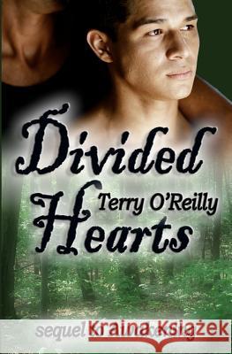 Divided Hearts Terry O'Reilly 9781478147978