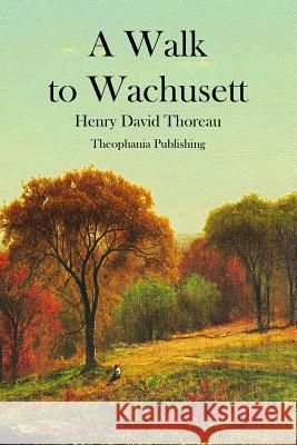 A Walk to Wachusett Henry David Thoreau 9781478153948