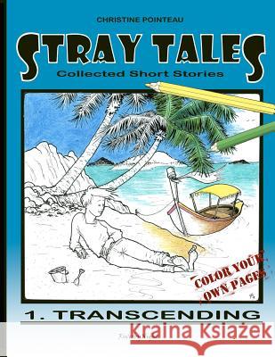 Stray Tales: Transcending Christine Pointeau 9781478163367 Createspace