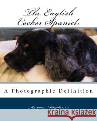 English Cocker Spaniel: A Photographic Definition Maryann MacPherson 9781478228486 Createspace