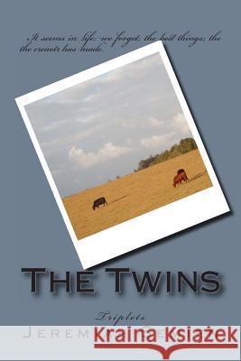 The Twins: Triplets Jeremiah Semien 9781478298625 Createspace