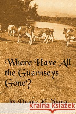 Where Have All The Guernseys Gone?