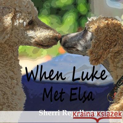 When Luke Met Elsa Mrs Sherri Regalbuto Laurie Malmberg 9781478351436