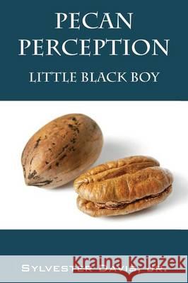 Pecan Perception: Little Black Boy Sylvester Davi 9781478740759