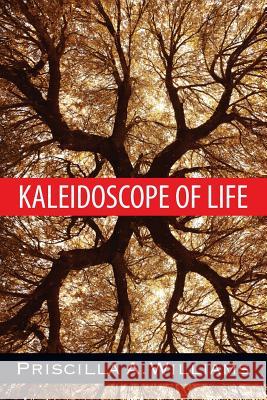 Kaleidoscope of Life Priscilla a. Williams 9781478756804