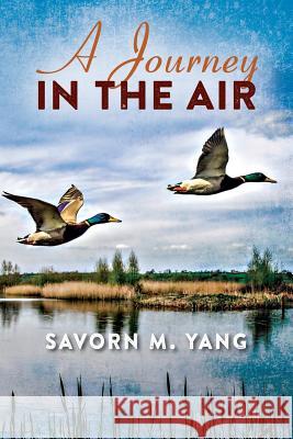 A Journey In The Air Savorn M Yang 9781478760795 Outskirts Press