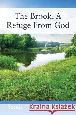 The Brook, A Refuge From God Sandy 