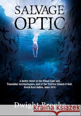 Salvage Optic: A Gothic Novel of the Timor-Laut and Tanembar Archipelagoes, and of the Terrible Island of Bali. Dutch East Indies, Anno 1674 Dwight Brooks 9781478791485