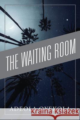 The Waiting Room Adeola Oyekola 9781478794363 Outskirts Press