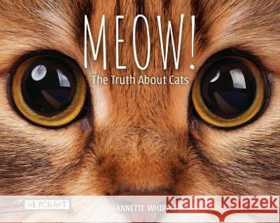 Meow! the Truth about Cats Annette Whipple 9781478879565 Reycraft Books