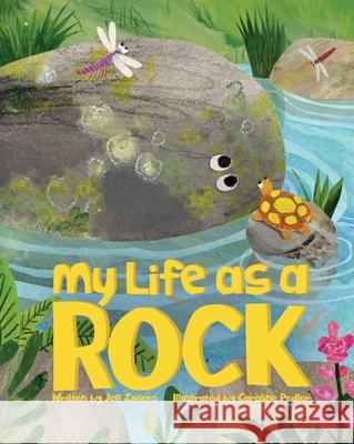My Life as a Rock Jeff Zwiers Caroline Pedler 9781478885436 Reycraft Books