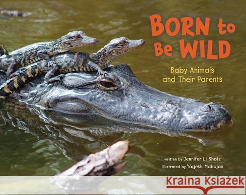 Born to Be Wild: Baby Animals and Their Parents Jennifer Shotz Yogesh Mahajan 9781478890843 Reycraft Schoolhouse