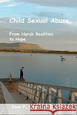 Child Sexual Abuse: From Harsh Realities to Hope Jane F. Gilgun 9781479127627