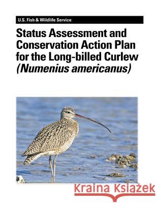 Status Assessment and Conservation Action Plan for the Long-billed Curlew (Numenius americanus) Jones, Stephanie L. 9781479141173 Createspace