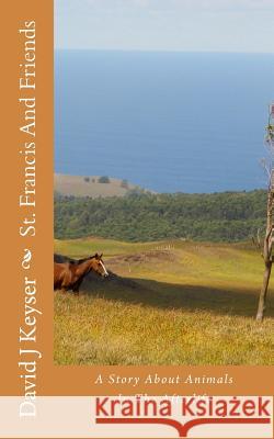 St. Francis And Friends: A Fictional Story About Animals In The Afterlife Keyser, David J. 9781479169436 Createspace