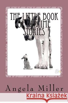 The little book of bedtime stories Miller, Angela 9781479198979