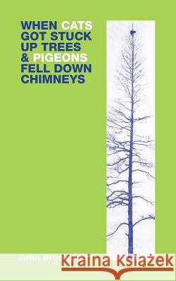 When Cats Got Stuck Up Trees & Pigeons Fell Down Chimneys MR John Brookland 9781479230419