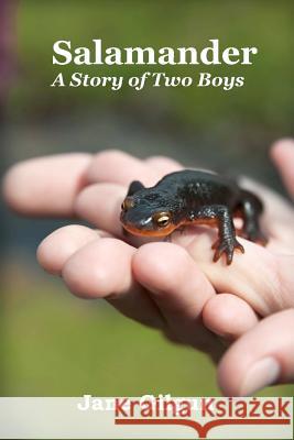 Salamander: A Story of Two Boys Jane Gilgun 9781479231126