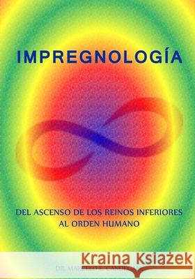 Impregnología Candegabe, Marcelo Eugenio 9781479231638 Createspace