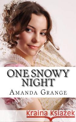 One Snowy Night Amanda Grange 9781479334674