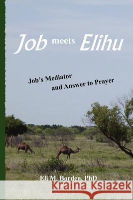 Job meets Elihu: Job's Mediator and Answer to Prayer Borden Phd, Eli M. 9781479363773 Createspace