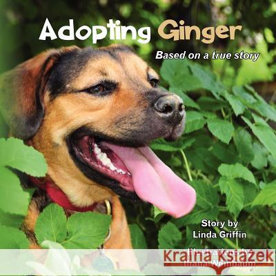 Adopting Ginger Linda Griffi 9781479393558 Createspace