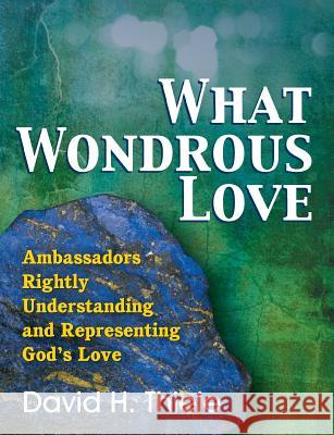 What Wondrous Love David H. Thiele 9781479602698