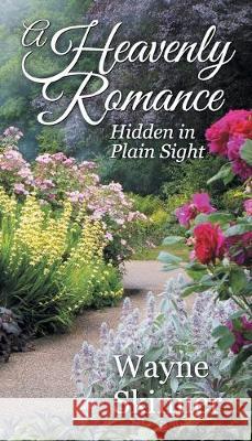 A Heavenly Romance: Hidden in Plain Sight Wayne Skinner 9781479609260